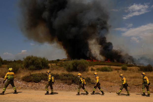 wildfire
